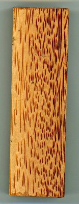 Red Palm 1.jpg