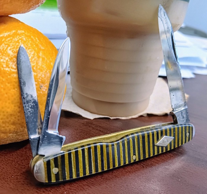 1000040423.jpg