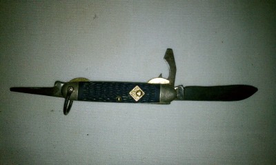 Camillus Cub Scout
