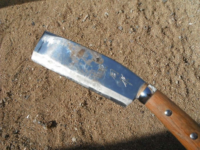 DSCF1362.JPG