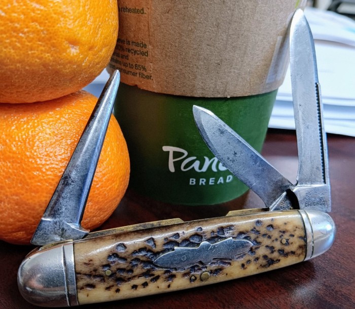 1000040864.jpg