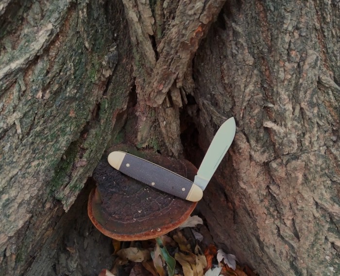 Boker on the trail.jpg