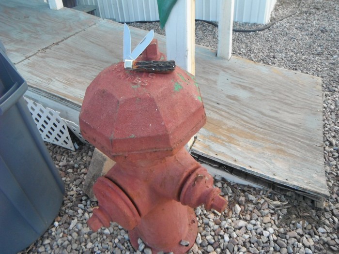 DSCF7837.JPG