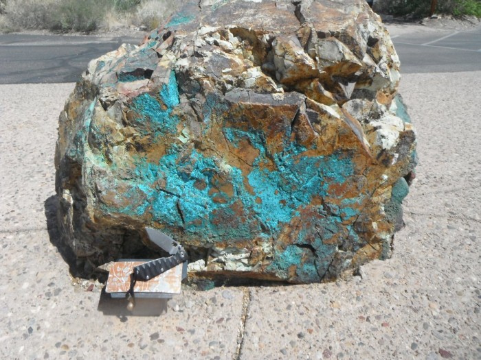 DSCF7811.JPG