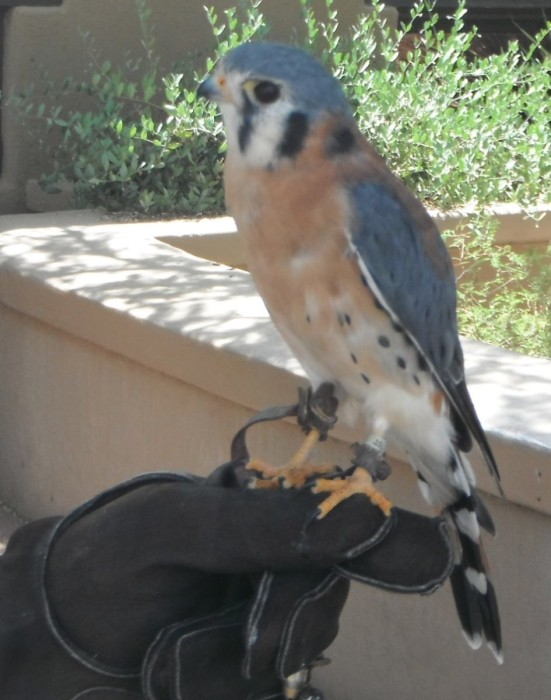 DSCF7804a.JPG
