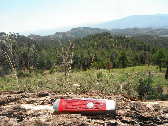 DSCF1475.JPG