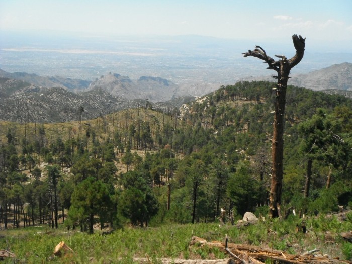 DSCF1477.JPG