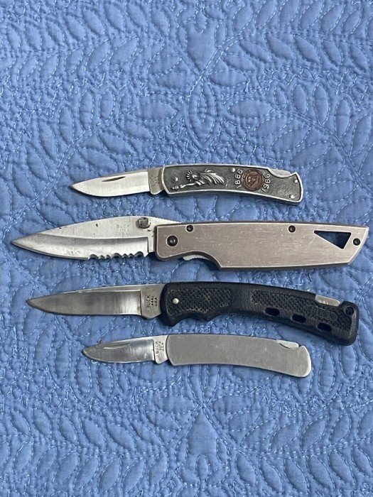 Modern Bucks.jpg