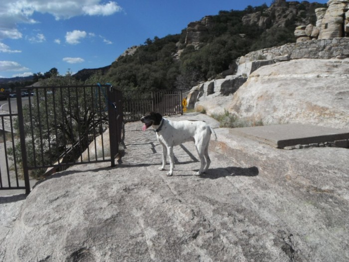 DSCF1428.JPG