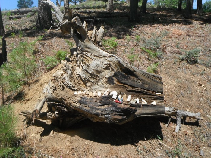 DSCF1469.JPG