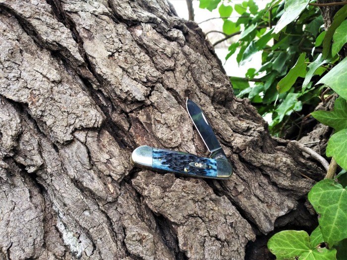 Blue Canoe on the trail.jpg