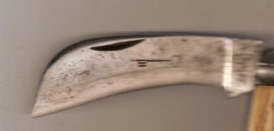 not a great pic sorry. Rival Cutlery Co Prime is all that it says for a maker.Thank you for any help friends.