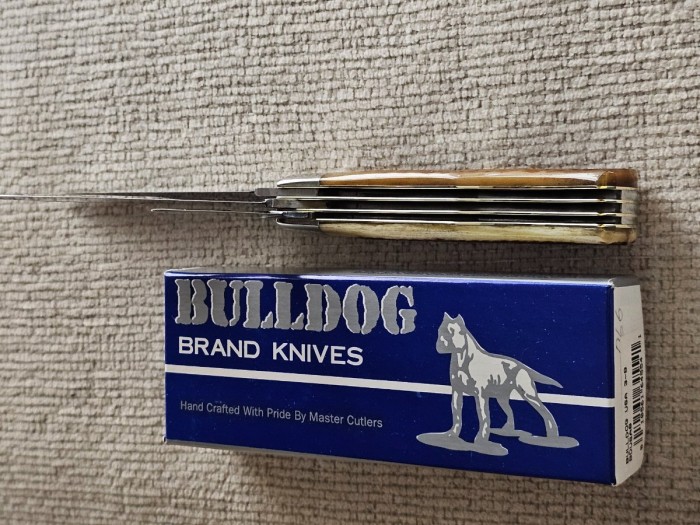Bulldog2.jpg