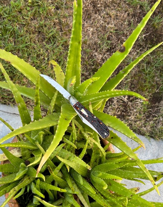 Serrated Wharncliffe and his naturally serrated counterpart