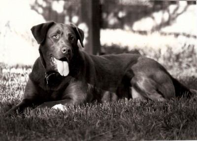 scan0001.jpg