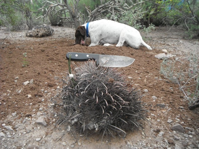 DSCF3852.JPG