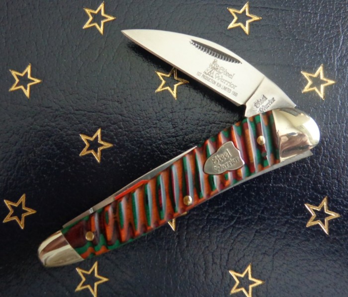 Steel Warrrior