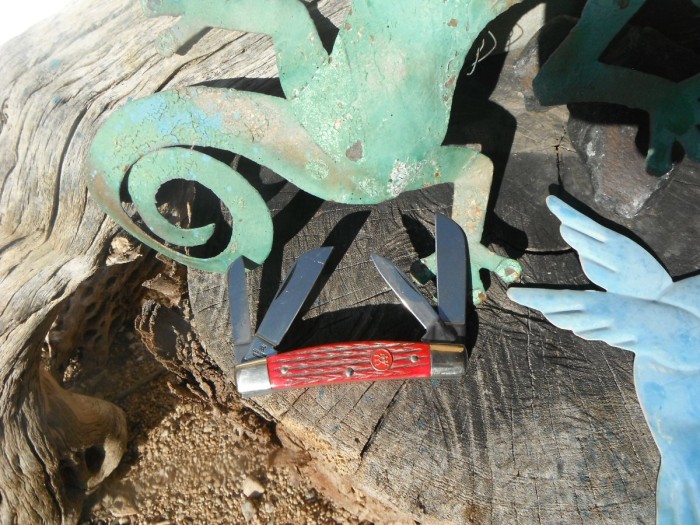 DSCF9722.JPG