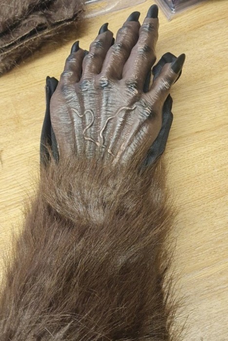 sasquatchHand.jpg