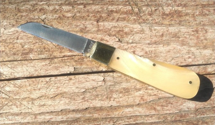 KIMG6187~2.JPG