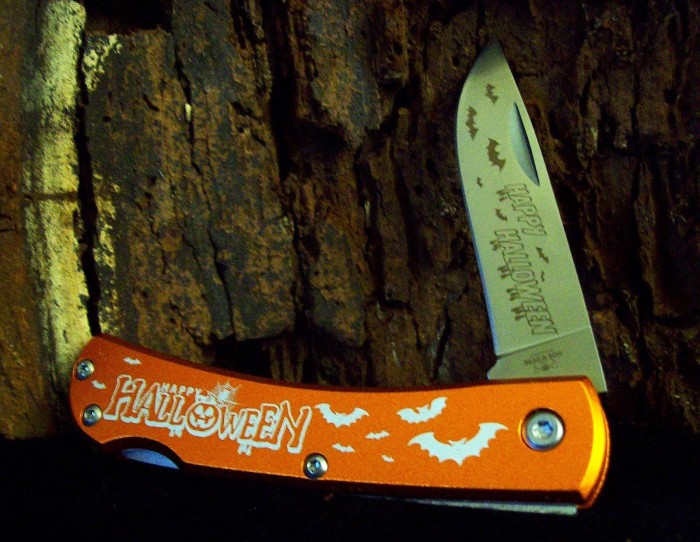 Bear & Son Halloween Soddie.JPG