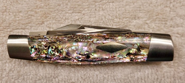Case/Bose T.B. 832015 abalone