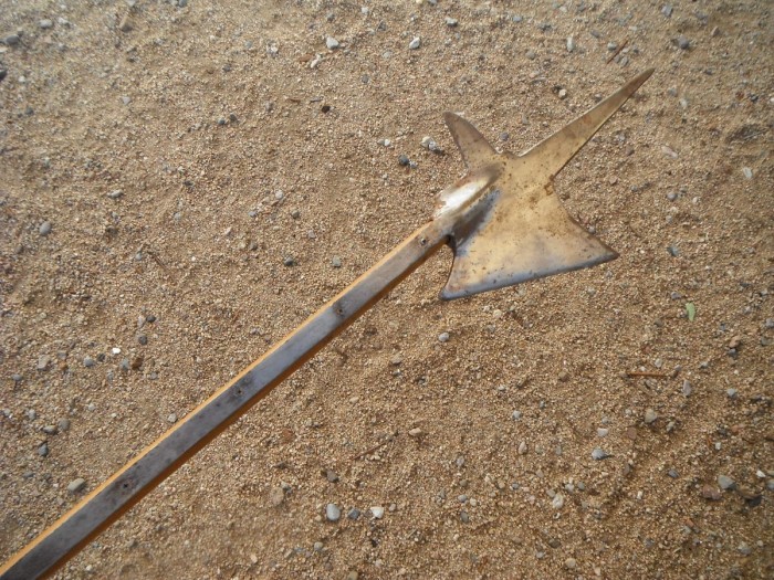DSCF9839.JPG