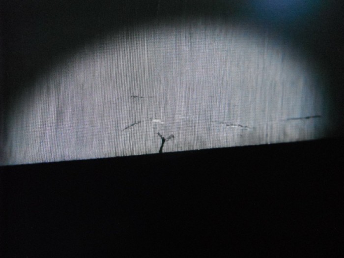 DSCF9885.JPG