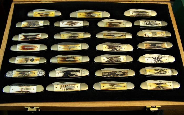 Stag display 1.JPG