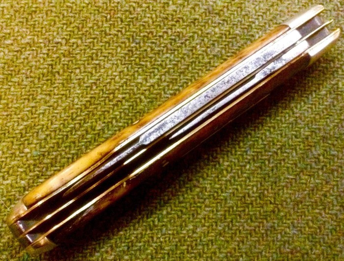 image.jpeg