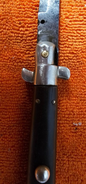 1000195863.jpg
