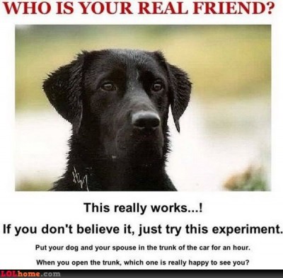 DOGANDSPOUSE.jpg