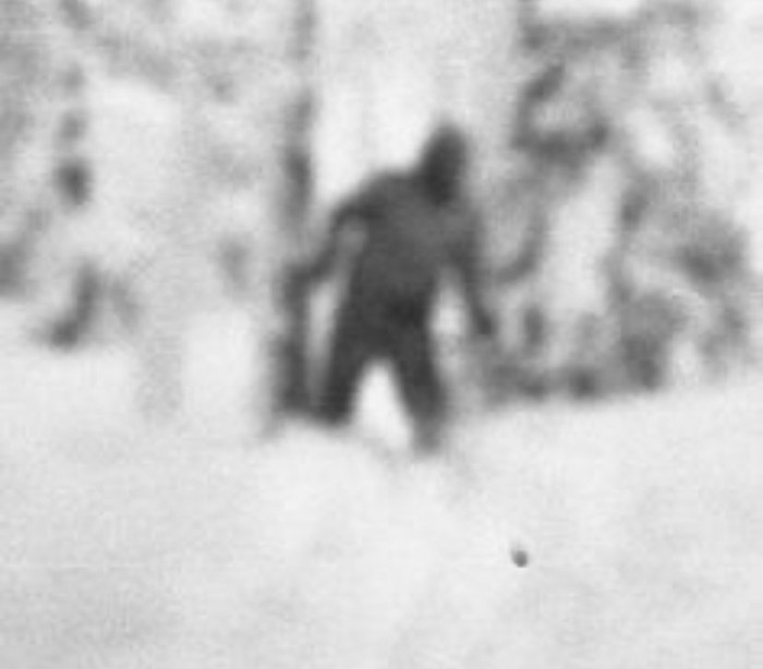 sasquatch.avif1.jpeg