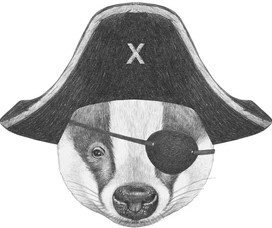 AAPKportrait-badger-pirate-hat-eye.jpg