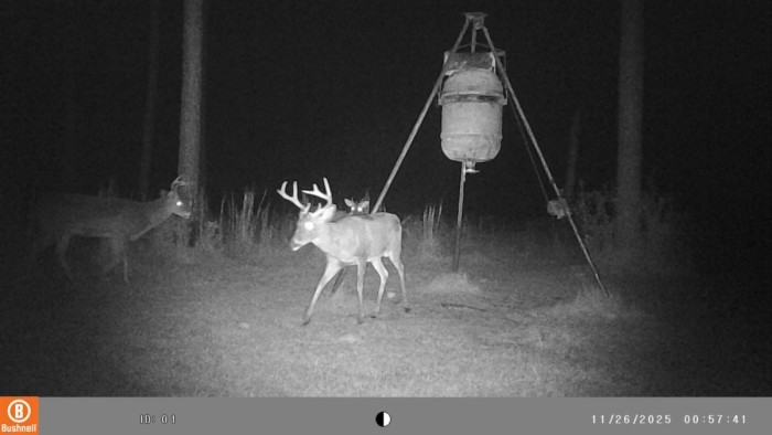 The 8 point that has been around most of the summer.