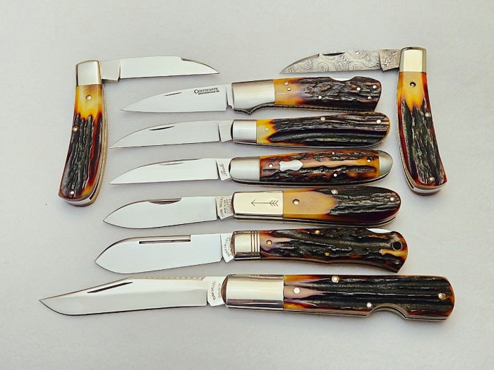 Amber Stags.jpg