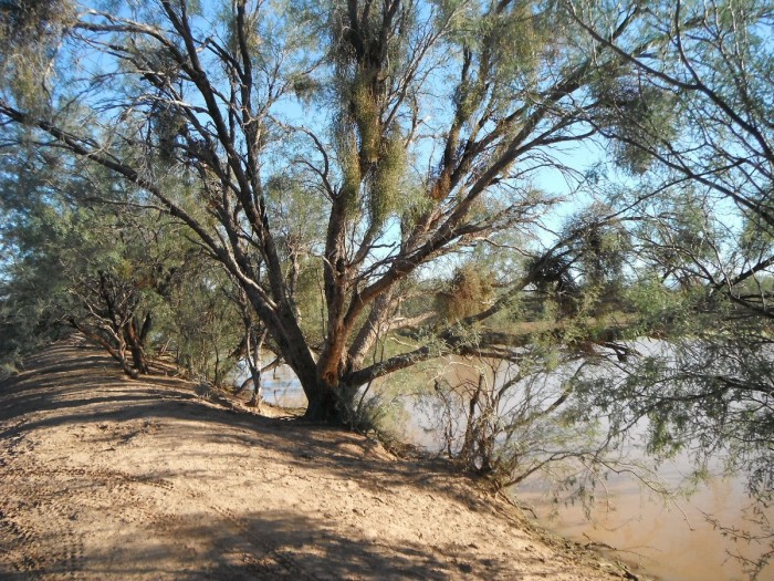 DSCF0217.JPG