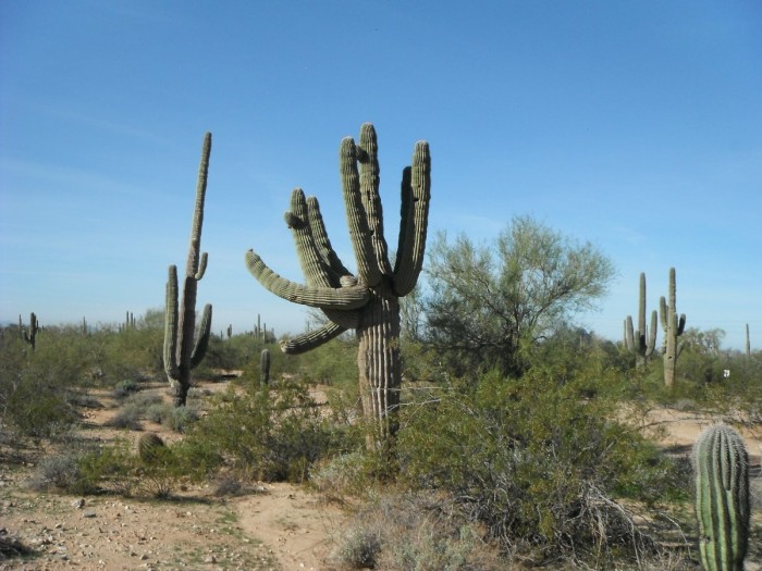 DSCF9946.JPG
