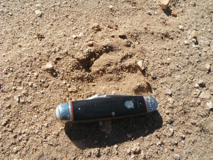 DSCF9951.JPG
