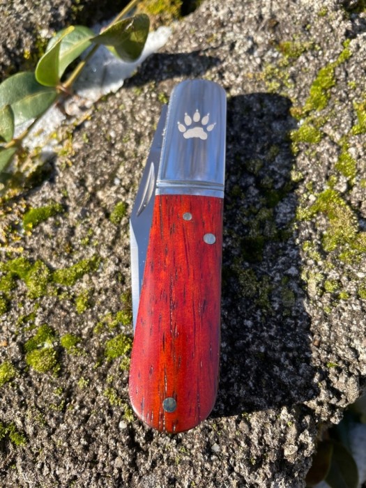 IMG_1393.jpeg