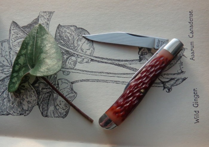 Kabar and Wild Ginger
