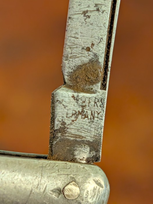 8900.jpg