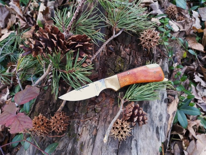 Kershaw CS II.jpg