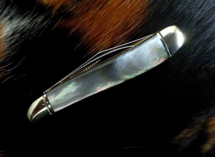 cat14.jpg