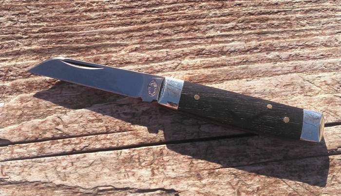 KIMG8834~2.JPG