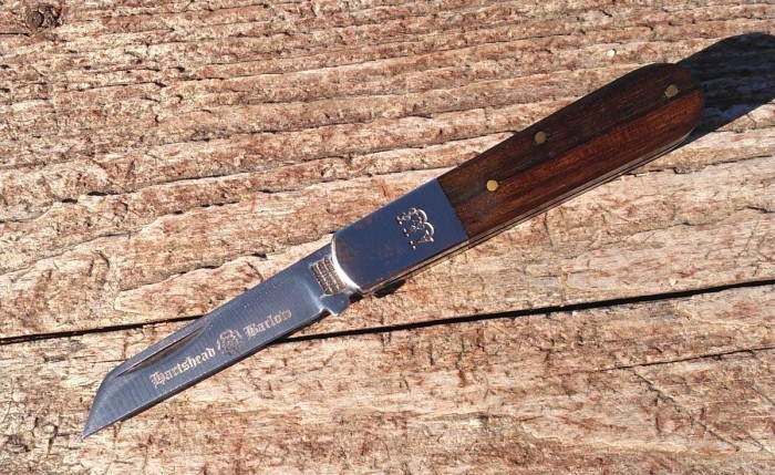 KIMG8887~2.JPG