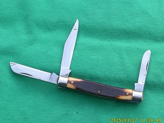 DSCF0699.JPG