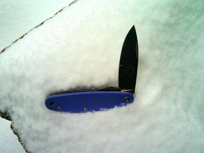Snow Churp 1.JPG