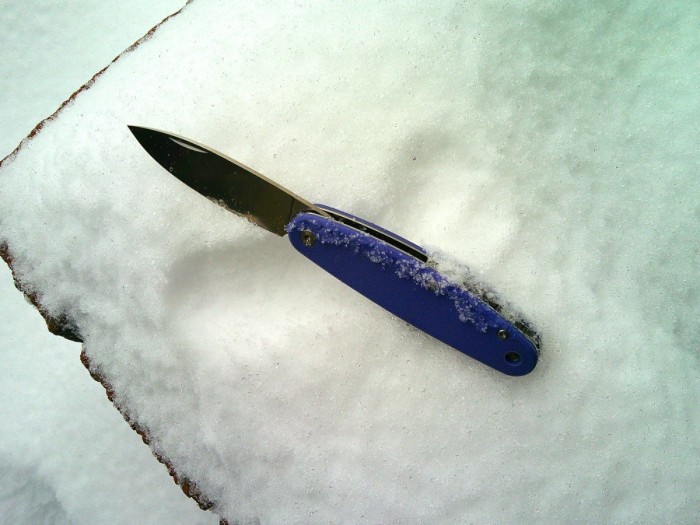 Snow Churp 2.JPG