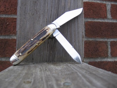 Great Eastern Stag Big Jack.JPG